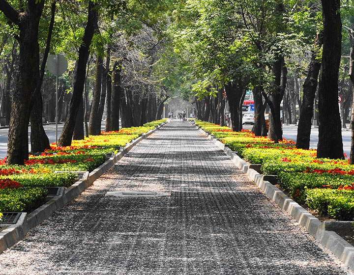 sidewalk in Polanco